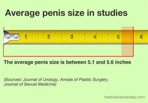 6 inch penic|Average.